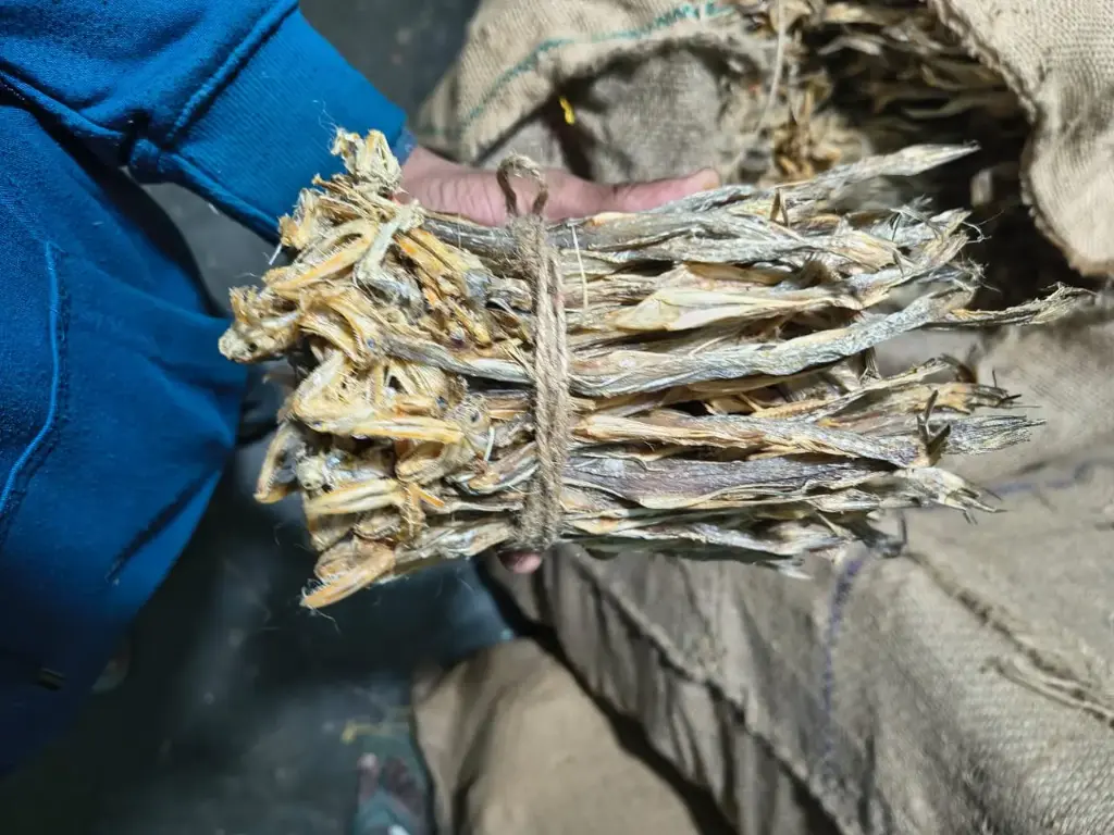 Bombay duck dried fish