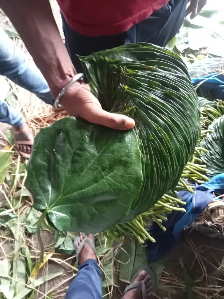 MITHA KHAR PAAN 