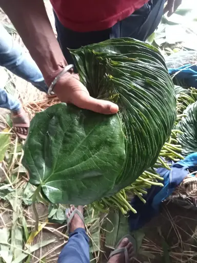 MITHA KHAR PAAN 
