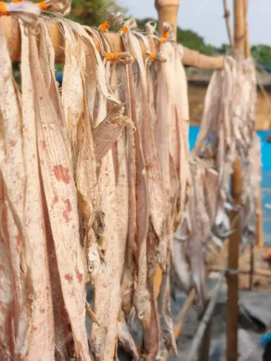 Premium dried fish