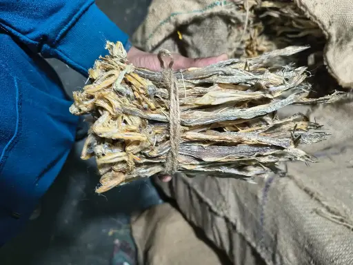 Bombay duck dried fish